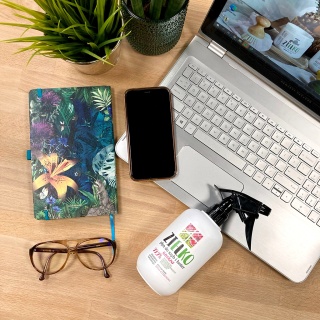 ZIELKO Płyn do szyb i luster 500 ml