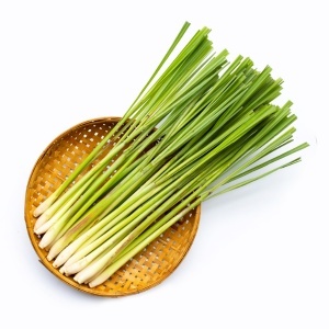 Naturalny dezodorant roll-on Bambus i Trawa Cytrynowa beBIO Cosmetics - 50 ml