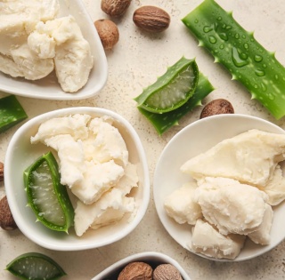 PIERPAOLI EKOS Personal Care Odżywka do włosów z organicznym aloesem i masłem shea 250 ml