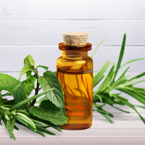 SIO GILU Olejek do Aromaterapii Dyfuzor, Kominek 15 ml
